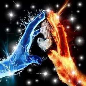 Meet your Posher, Waynette